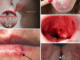 These are the signs that he is cr… See more