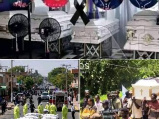 Father kills family just because they did it… See more