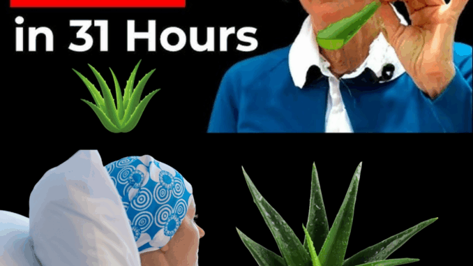 A Natural Path to Healing: Barbara O’Neill’s Holistic Approach to Cancer Support A Natural Path to Healing: Barbara O’Neill’s Holistic Approach to Cancer Support
