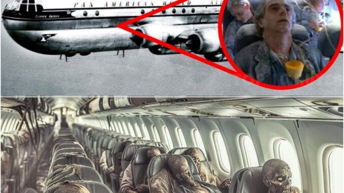 Breaking: A Plane That Vanished 3,700 Years Ago Has Reappeared, Still Full of Passengers—Now Reduced to Dry Skeletons. Breaking: A Plane That Vanished 3,700 Years Ago Has Reappeared, Still Full of Passengers—Now Reduced to Dry Skeletons.