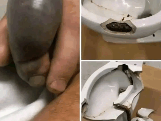 He went to the bathroom without knowing that there was a…See more