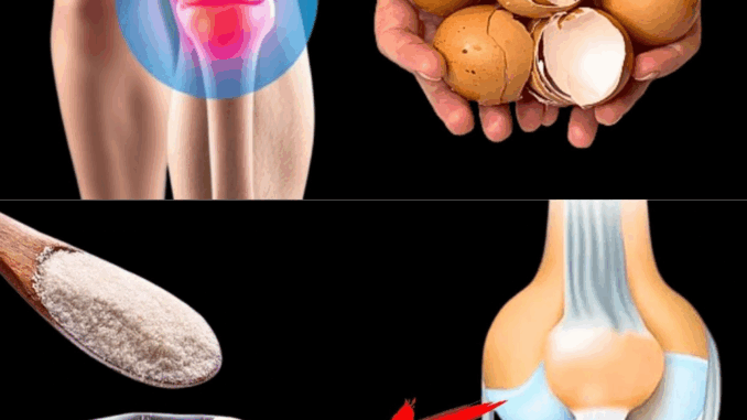 Don’t Ever Throw Away Eggshells Again After Reading This – You Won’t Believe How Useful They Are!