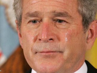 30 Minutes ago in Texas, George W. Bush was confirmed as…See more