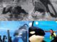 THE REVENGE OF THE KILLER WHALE THAT KILLED 3: Chilling Photo Reveals Captive Orca’s Hatred Toward Trainers