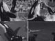 TRAGEDY AT BLUE OCEAN PARK: In a viral video dominating social media, an orca’s sudden and violent turn stuns the audience in a screaming stadium. No warning. Just the sound of the cold water… and a terror that takes your breath away… Seconds later, the water turns red. Trainer Jessica Radcliffe…lingcute