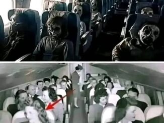 A plane carrying 92 passengers lands 20 years after the opening of the…See More