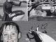 BREAKING NEWS: The shocking truth about the k!ller whale that bit its trainer to de@th and drowned her – Will it continue to be kept at the park? The victim’s family speaks out after the incident…