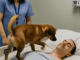 The doctors decided to disconnect the machines that were keeping the young officer alive, but before doing so, they allowed his dog to say goodbye — and then something unexpected happened.