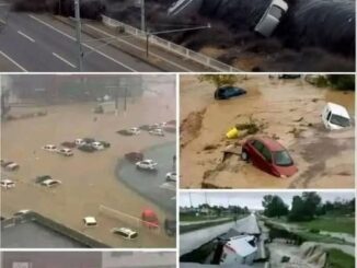 A 9.1 magnitude earthquake also caused a tsunami in the city of… See more