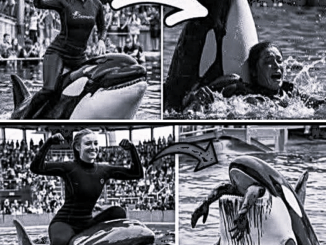 Coach Orca is Destroy by this thing while … see more