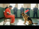 His last wish before execution: to see his dog, but what happened changed everything…