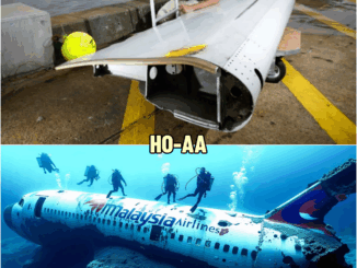 After 11 Years, Underwater Drone Finally Found MH370 — The Search Is Over | HO!!!!