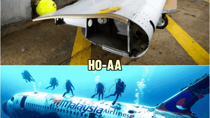 After 11 Years, Underwater Drone Finally Found MH370 — The Search Is Over | HO!!!! After 11 Years, Underwater Drone Finally Found MH370 — The Search Is Over | HO!!!!