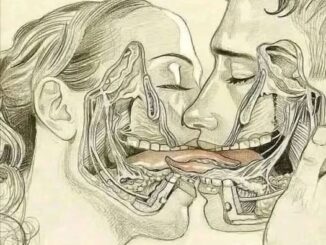 WHAT HAPPENS WHEN WE TONGUE KISS…See more.
