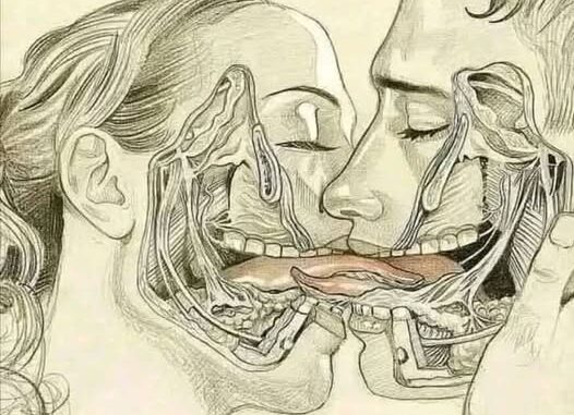WHAT HAPPENS WHEN WE TONGUE KISS…See more.