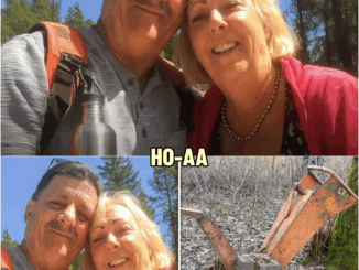 Washington Couple Vanished Camping, 4 Years Later a Disturbing Discovery Is Made… | HO