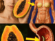 Papaya Seeds: The Tiny Powerhouse to Conquer 10 Common Health Problems