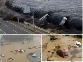 A magnitude 9.1 earthquake also caused a tsunami in the city of… See more
