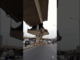 The bridge’s support collapsed after the earthquake, but it was only the outer concrete that hit the car.