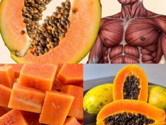 What happens when you start eating papaya every day?
