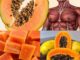 What happens when you start eating papaya every day?