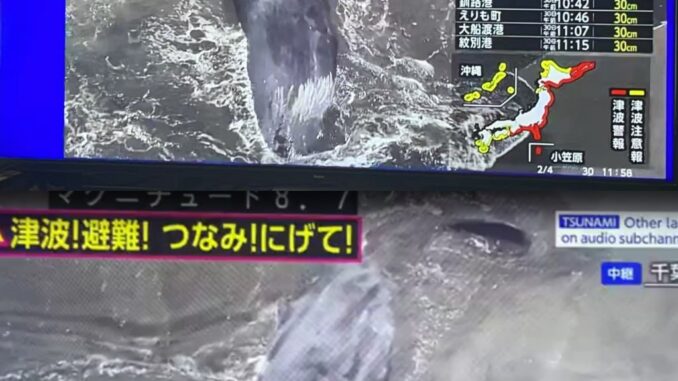 Ballenas llegan a la costa de Japón después de que un enorme terremoto de magnitud 8,7 desencadenara un tsunami Ballenas llegan a la costa de Japón después de que un enorme terremoto de magnitud 8,7 desencadenara un tsunami