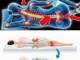 SENIORS! Avoid These 7 DEADLY Sleep Habits Immediately (And What To Do Instead)